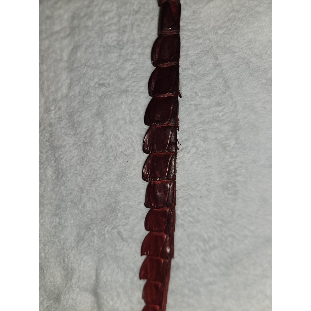 Vintage Caiman Hornback Belt Exotic Western Leather Taxidermy Red Alligatoridae - Picture 10 of 16